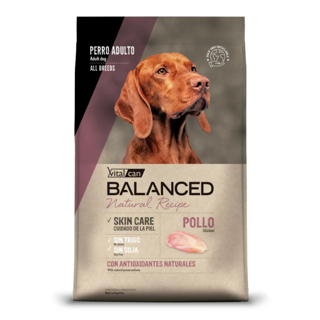 Balanced Adulto Natural Recipe Pollo 15 + 3 Kg + Nexgard 25 a 50 Kg - Imagen 2