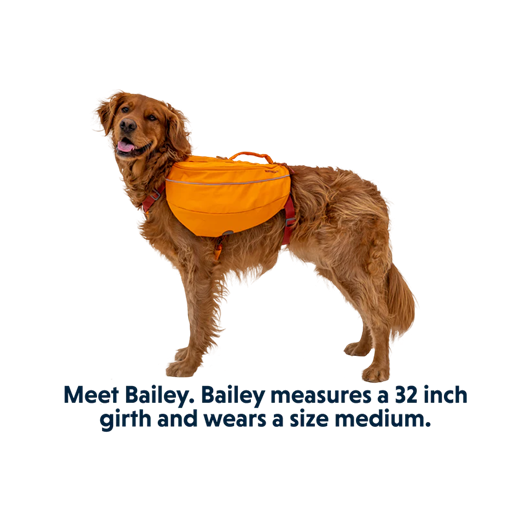 Mochila Ruffwear Approach Dog Day Pack - Imagen 5