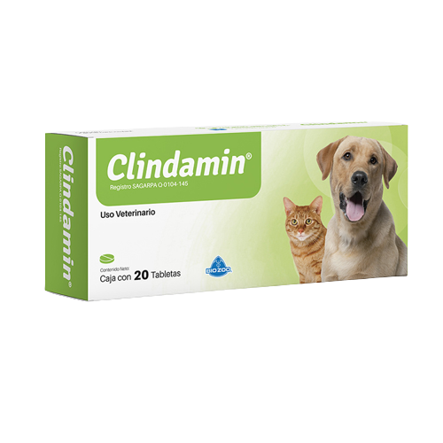 Clindamin 110MG sobre x 10 Tabletas