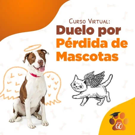 Video Duelo por Pérdida de la Mascota