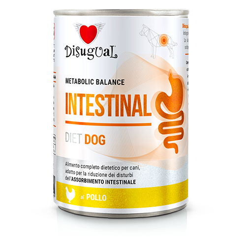 Disugual Intestinal Perro Lata sabor a Pollo 400 Gramos