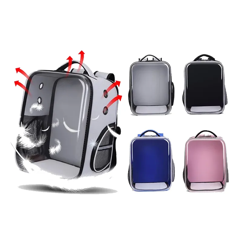 Mochila transparente rectangular - Imagen 2