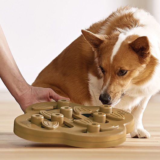 Nina Ottosson – Dog Hide N Slide – Nivel 2 - Imagen 3