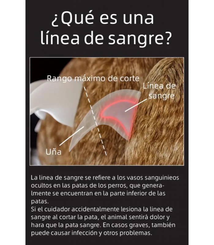 Corta uñas con luz LED para mascotas - Imagen 2
