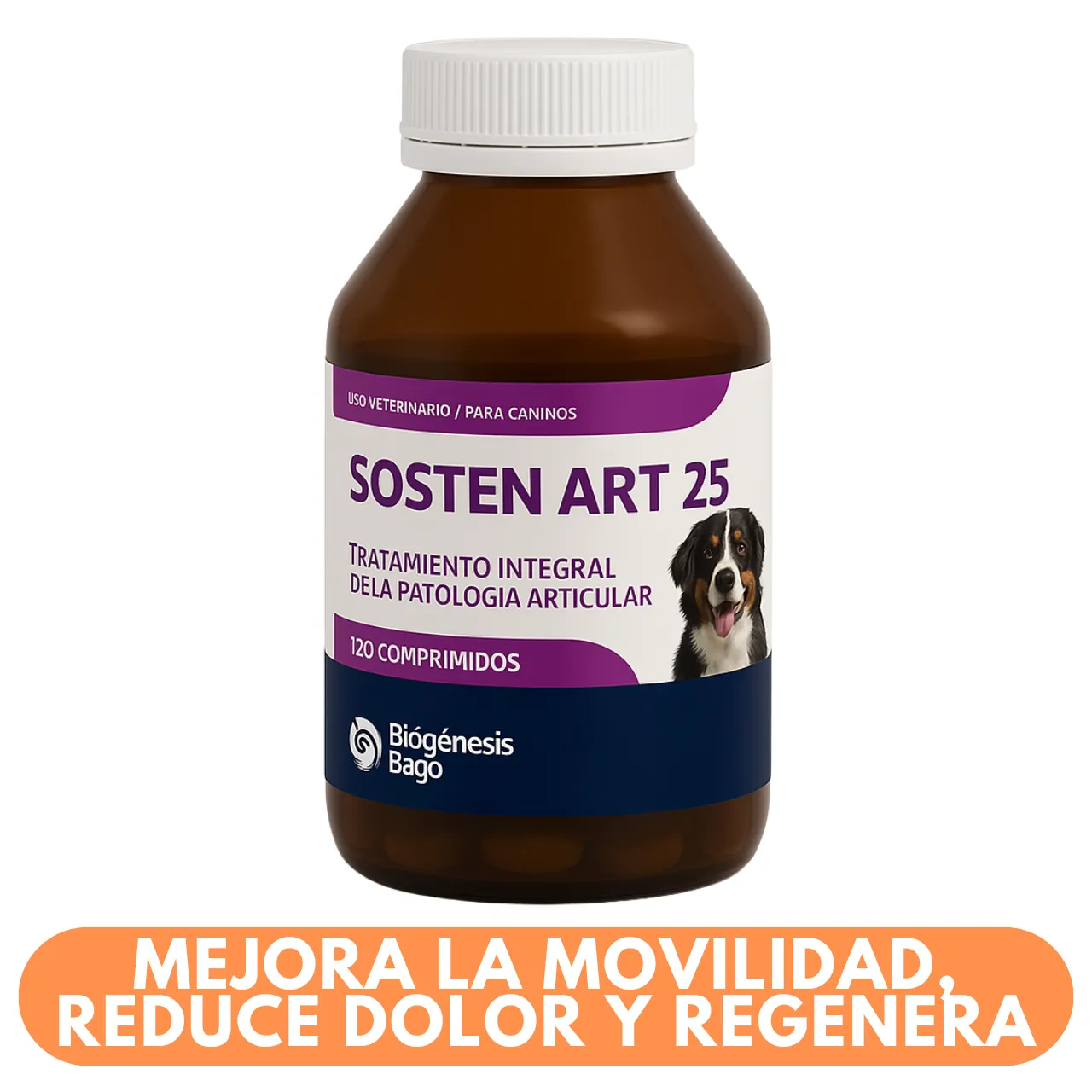 Sosten Art 25 – 1000 mg – 30 Comprimidos