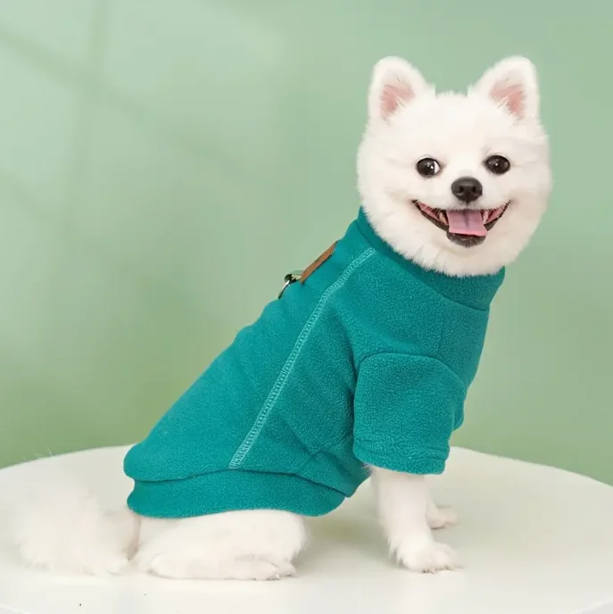 Suéter turquesa para perros- Talla M - Imagen 3