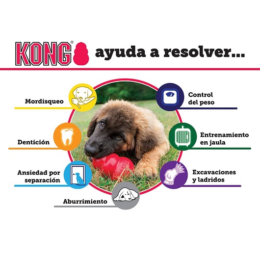 Kong Senior para Perros - Imagen 3