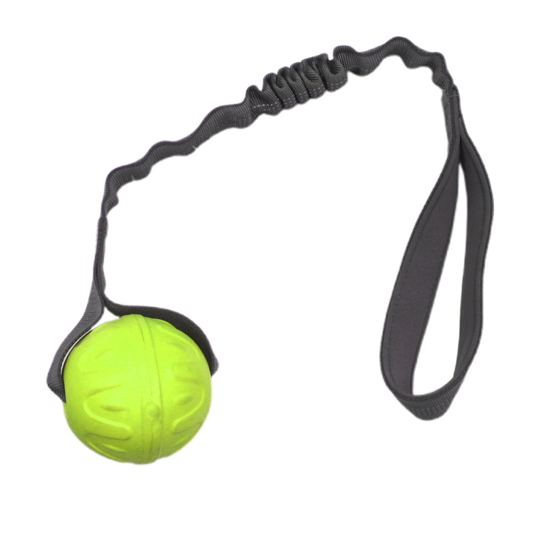 Pelota grande con soga para perros