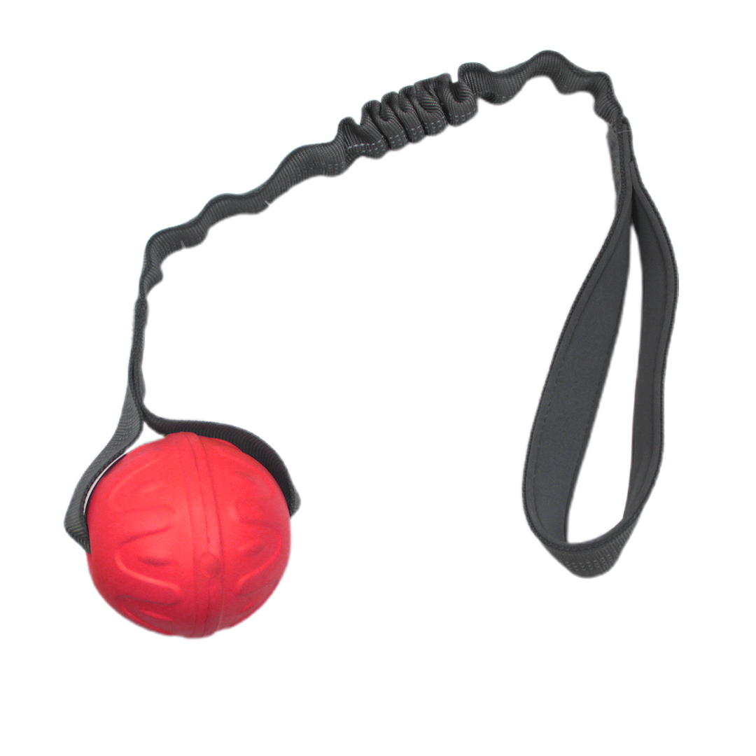 Pelota grande con soga para perros - Imagen 2